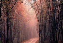 牢记团队精神，击溃对手争取胜利！