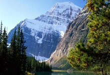 澳大利亚女足连赢五场，成功晋级亚洲杯决赛