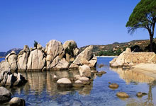 澳大利亚女足连赢五场，成功晋级亚洲杯决赛