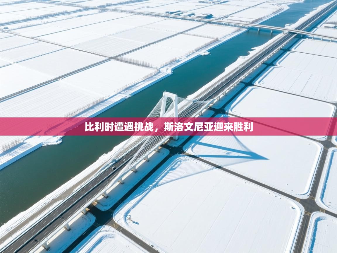 比利时遭遇挑战，斯洛文尼亚迎来胜利  第1张