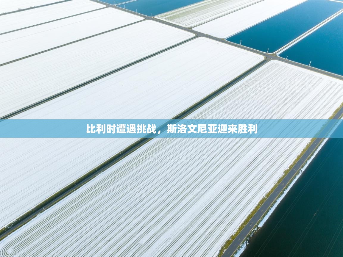 比利时遭遇挑战，斯洛文尼亚迎来胜利  第2张