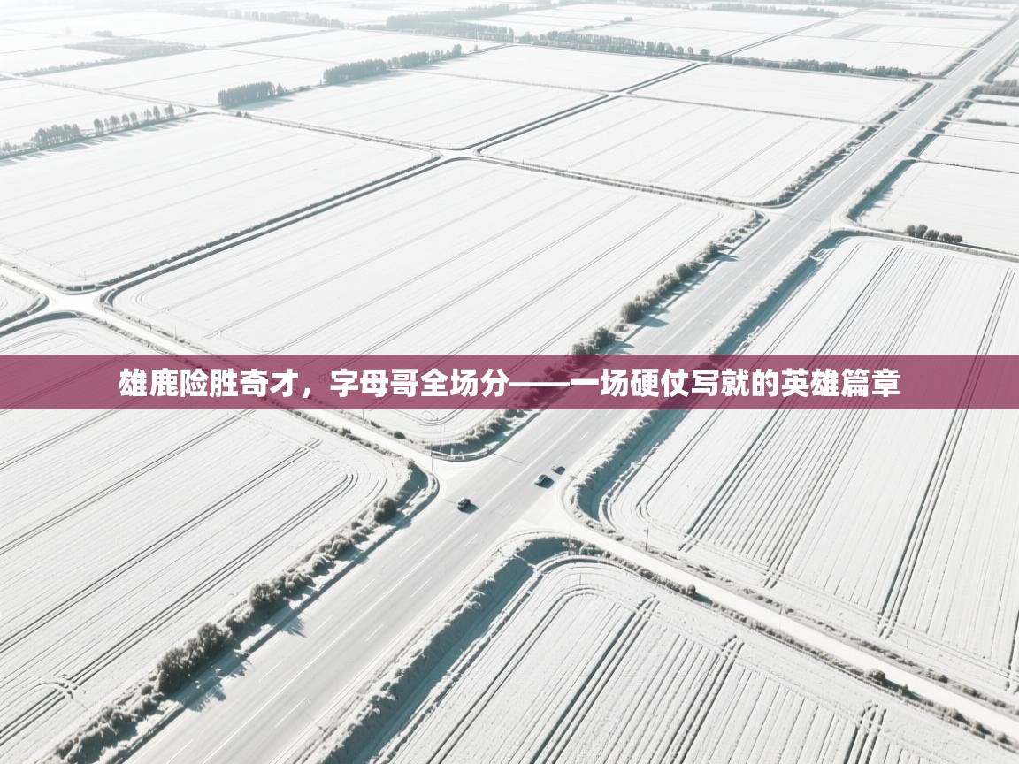 雄鹿险胜奇才，字母哥全场分——一场硬仗写就的英雄篇章  第2张