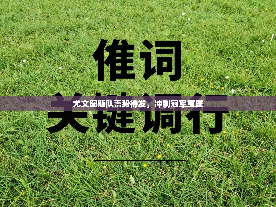 尤文图斯队蓄势待发，冲刺冠军宝座  第2张