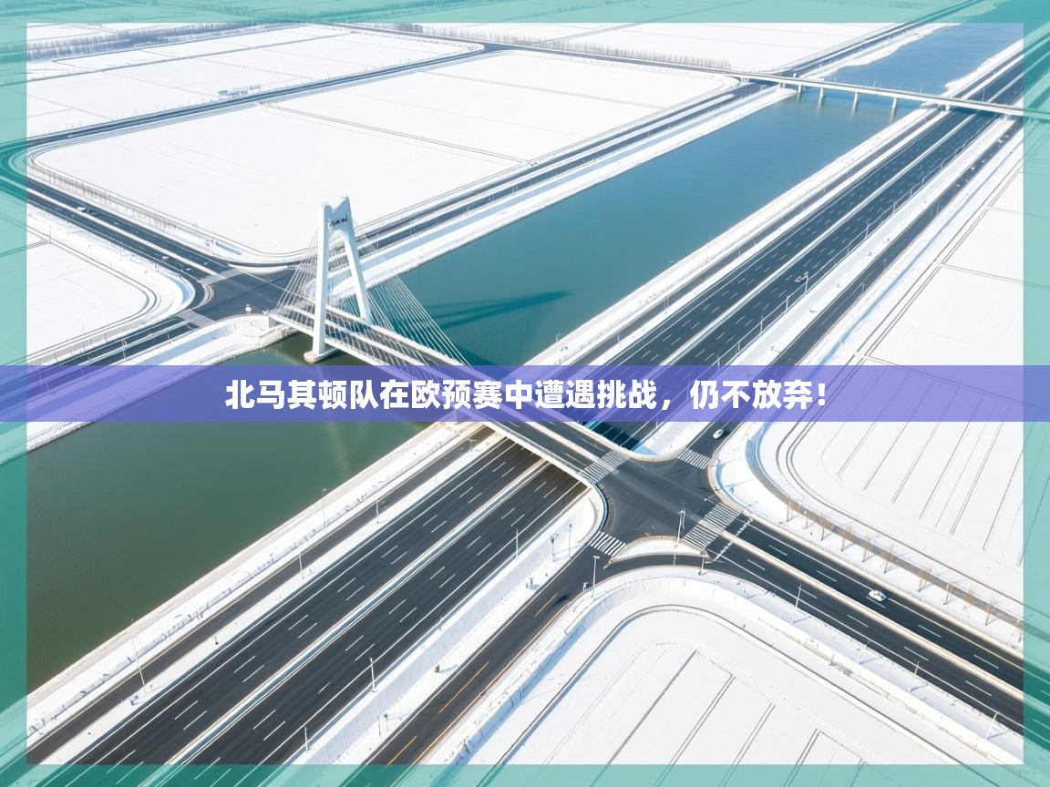 北马其顿队在欧预赛中遭遇挑战,仍不放弃! 第1张