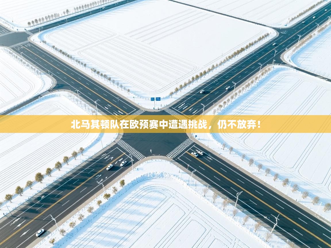 北马其顿队在欧预赛中遭遇挑战,仍不放弃! 第2张